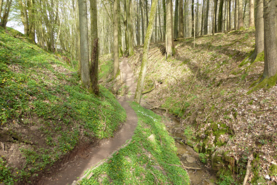 Hexenklamm Gersbach